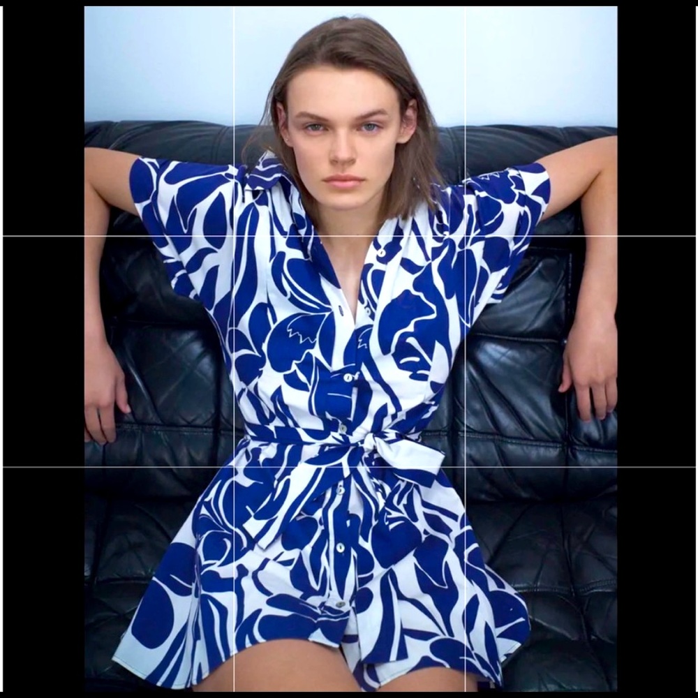 Zara printed Dress